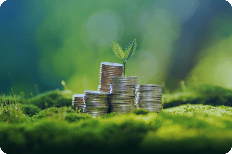 Wie du mit grüner Finanzierung direkt Geld sparst